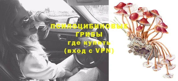 дурь Козловка
