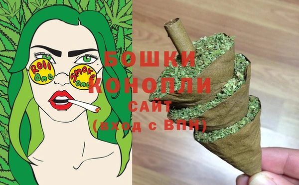 дурь Козловка