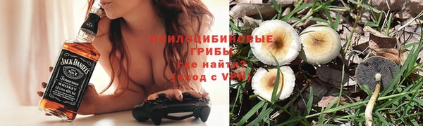 дурь Козловка